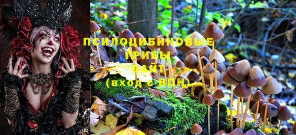 дживик Аркадак