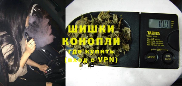 прущие грибы Арсеньев