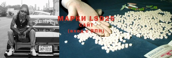 прущие грибы Арсеньев
