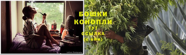 дживик Аркадак
