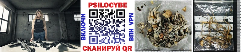 Галлюциногенные грибы Magic Shrooms  как найти закладки  МЕГА рабочий сайт  Вихоревка 